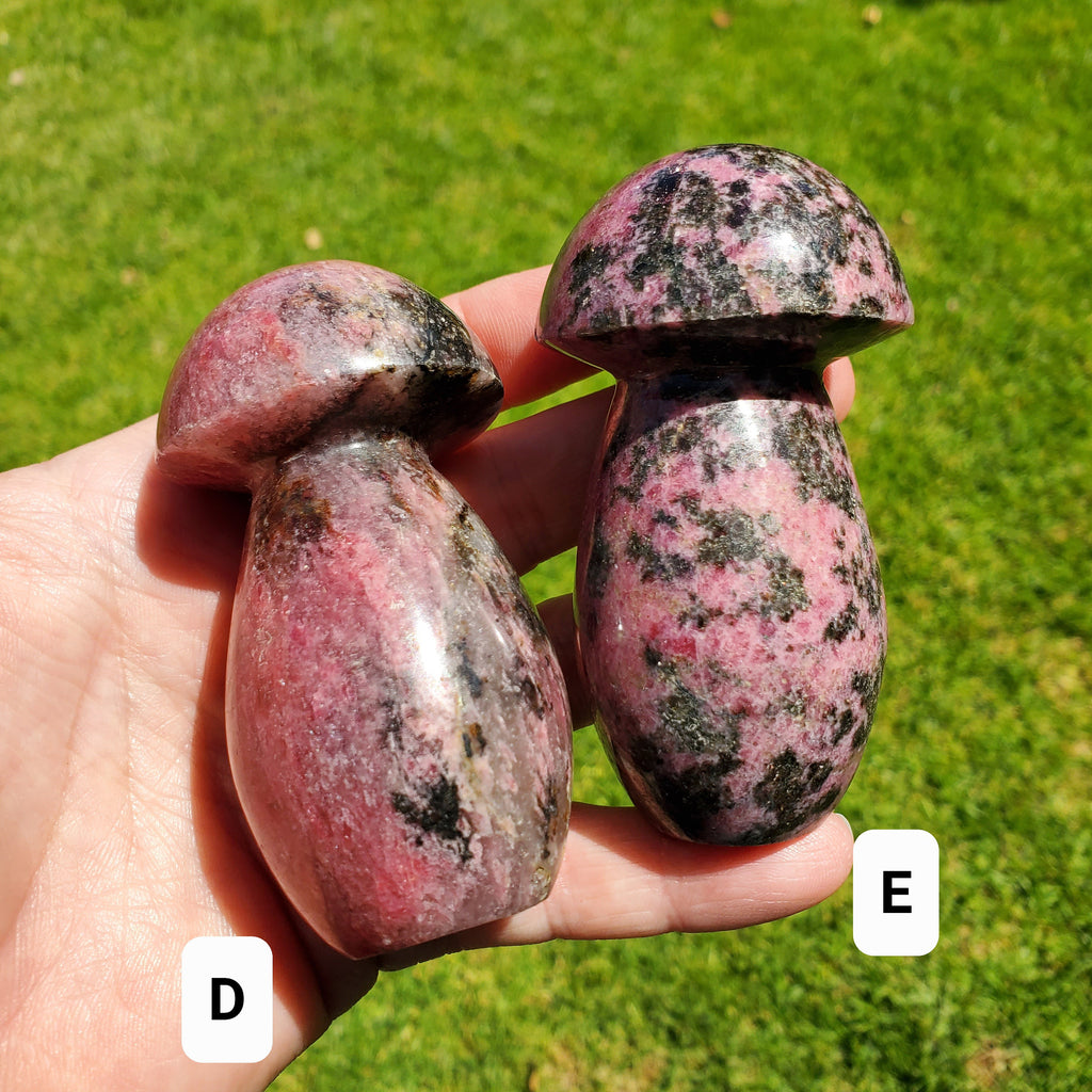 Chunky Rhodonite Mushroom - Self Love, Balance, Joy, Happiness - Pink and Black Crystal Mushie Healing Crystal Gemstones