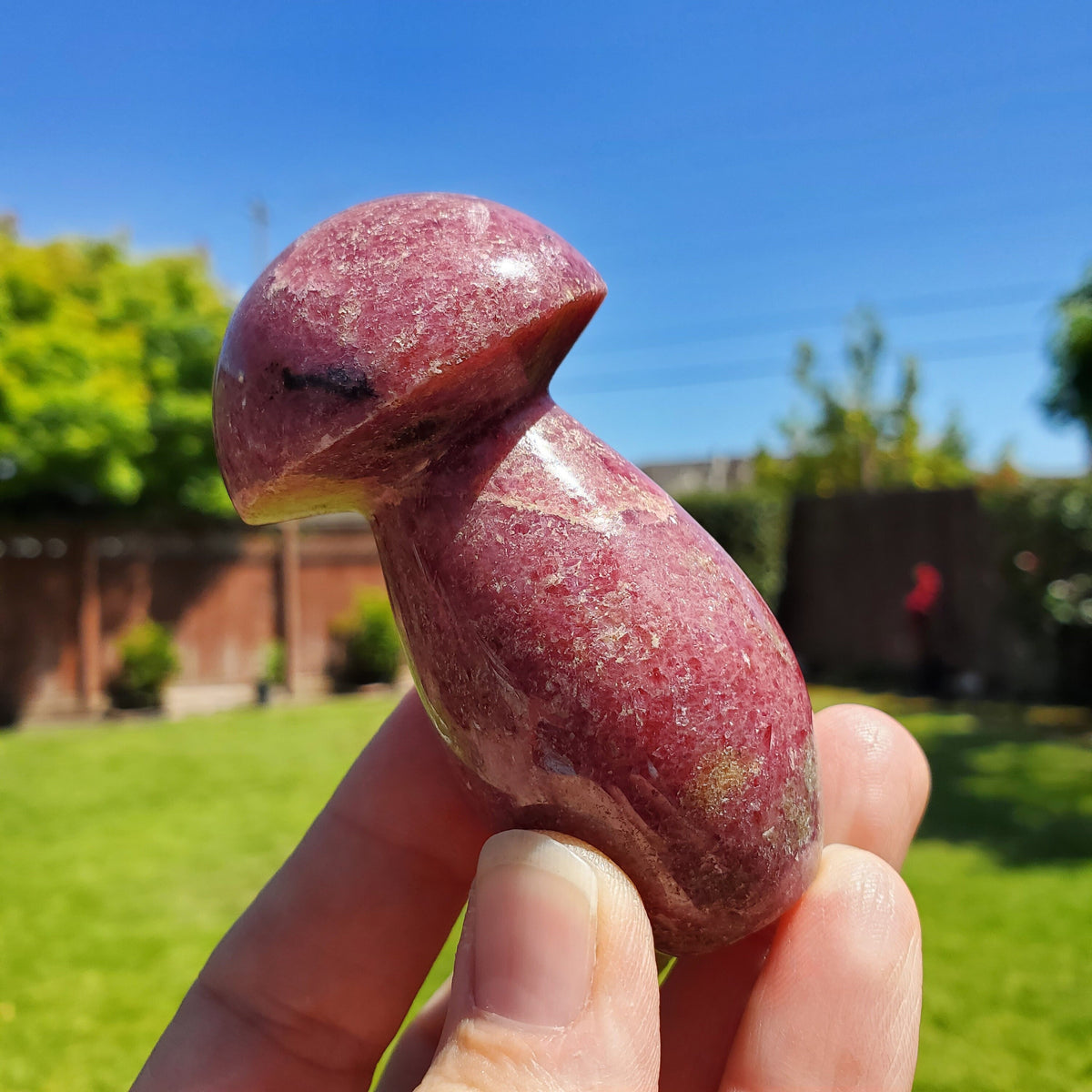 Chunky Rhodonite Mushroom - Self Love, Balance, Joy, Happiness - Pink and Black Crystal Mushie Healing Crystal Gemstones