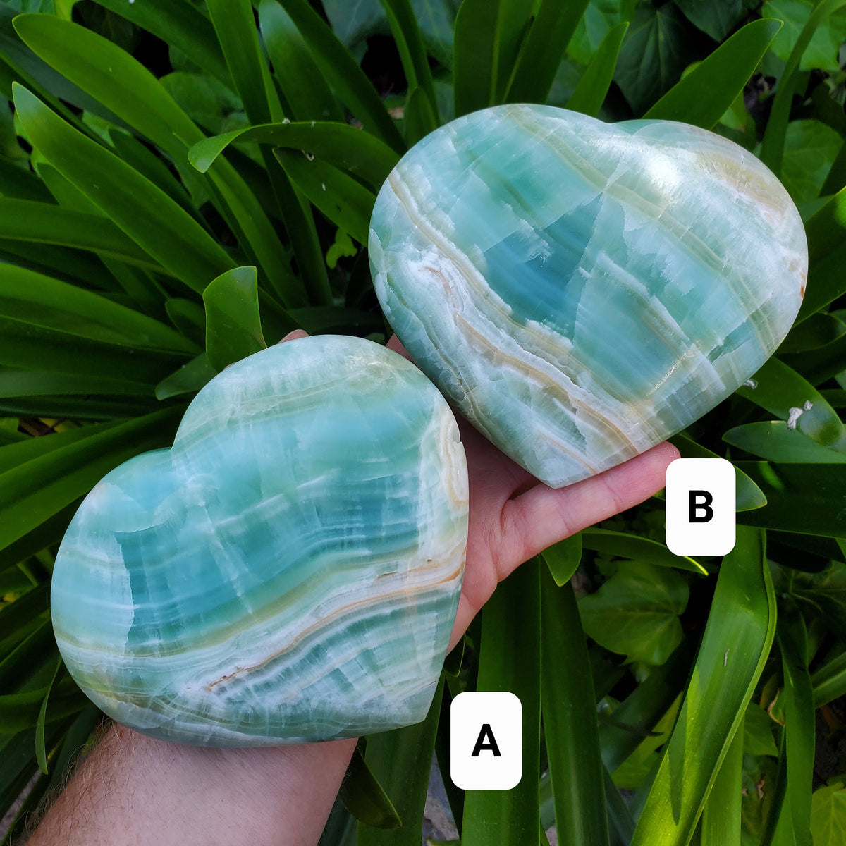 Big Pistachio Calcite Heart - Physical Healing, Transitions, Understanding - Jumbo Calcite Crystal Heart Healing Statement Gemstone
