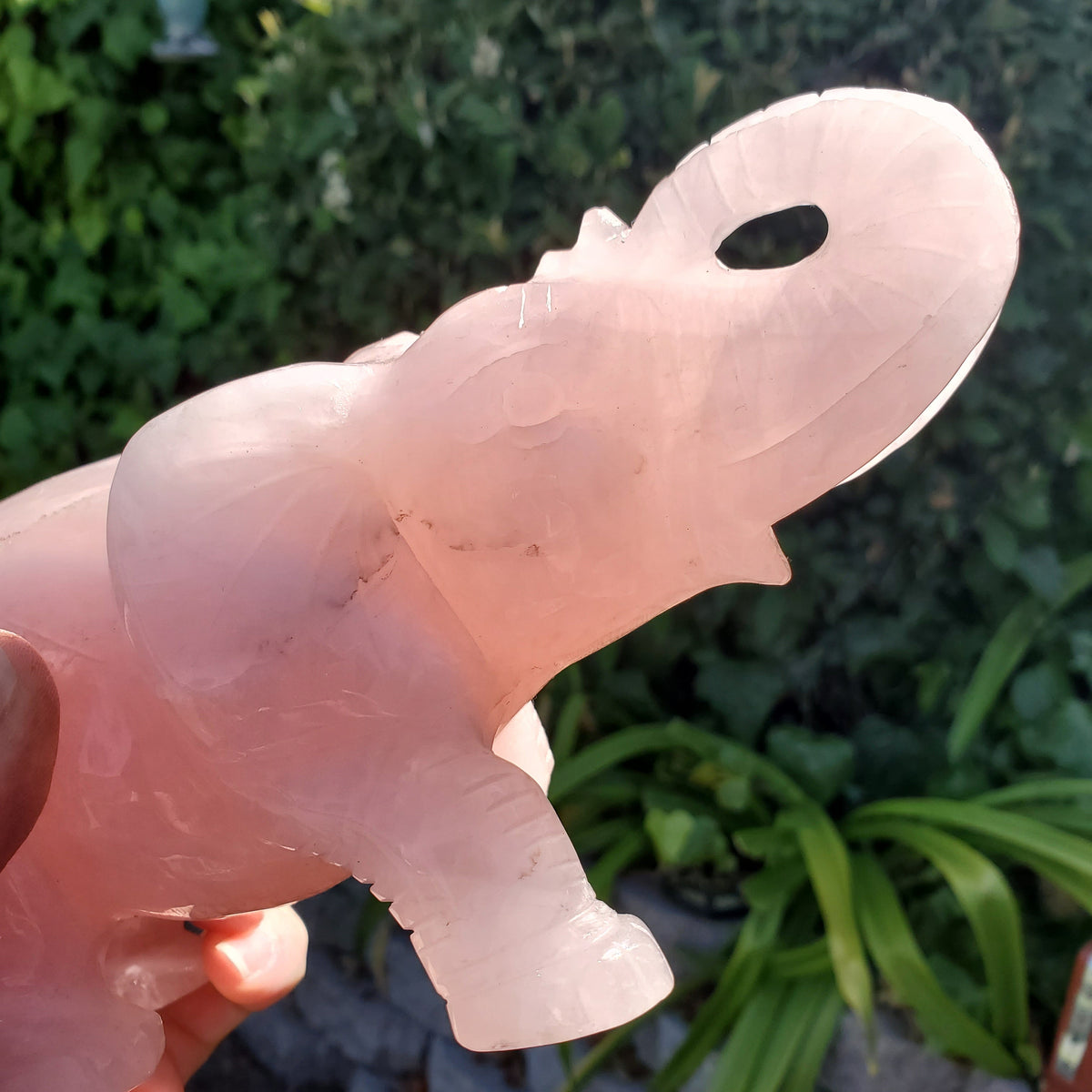 Big Rose Quartz Elephant - Unconditional Love, Compassion, Forgiveness - Pink Crystal Elephant Healing Crystals Gemstones