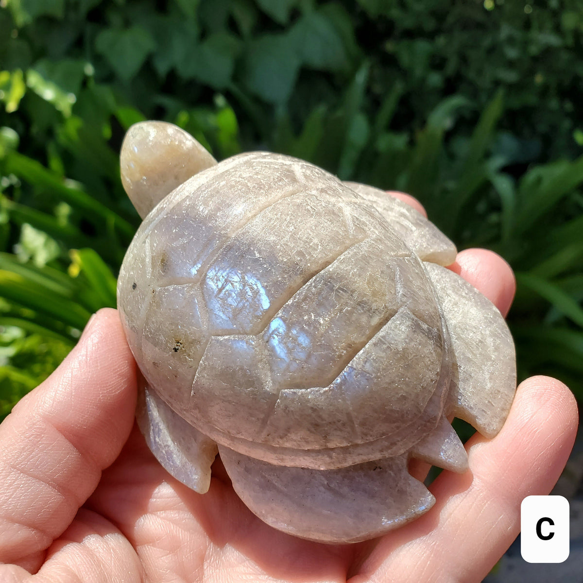 Flashy Moonstone Turtle with Sunstone - Uplifting, Raises Vibration, Feminine Energy, Empowering - Flashy Crystal Turtle Healing Gemstone