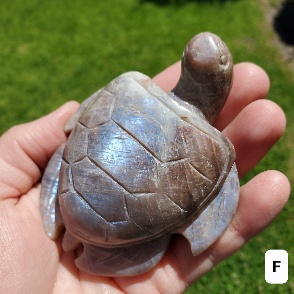Flashy Moonstone Turtle with Sunstone - Uplifting, Raises Vibration, Feminine Energy, Empowering - Flashy Crystal Turtle Healing Gemstone