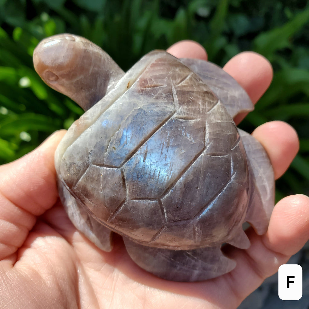 Flashy Moonstone Turtle with Sunstone - Uplifting, Raises Vibration, Feminine Energy, Empowering - Flashy Crystal Turtle Healing Gemstone