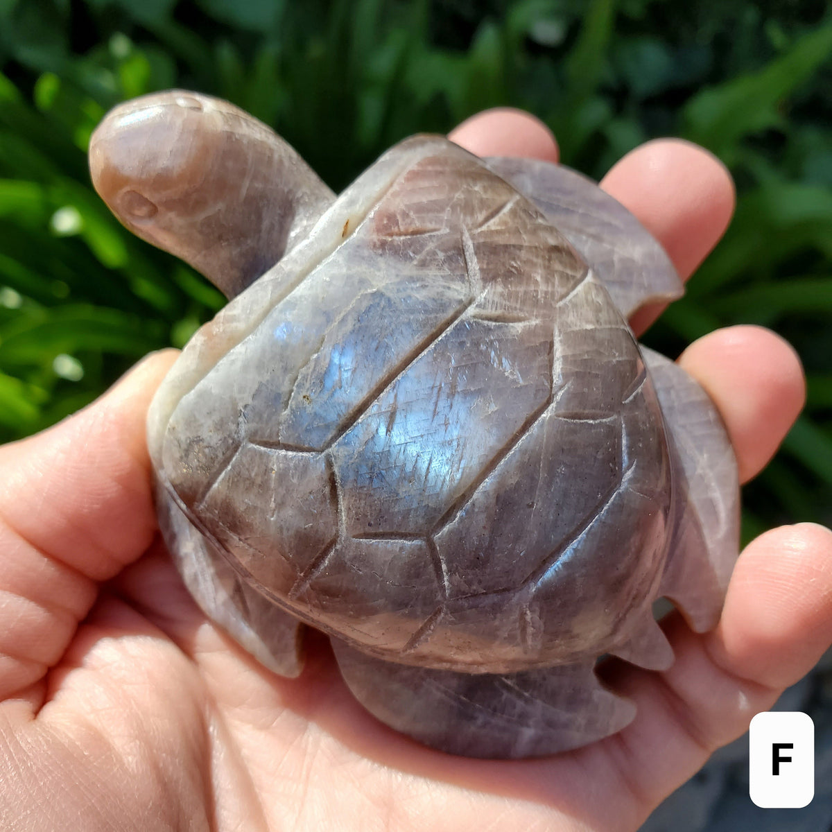 Flashy Moonstone Turtle with Sunstone - Uplifting, Raises Vibration, Feminine Energy, Empowering - Flashy Crystal Turtle Healing Gemstone