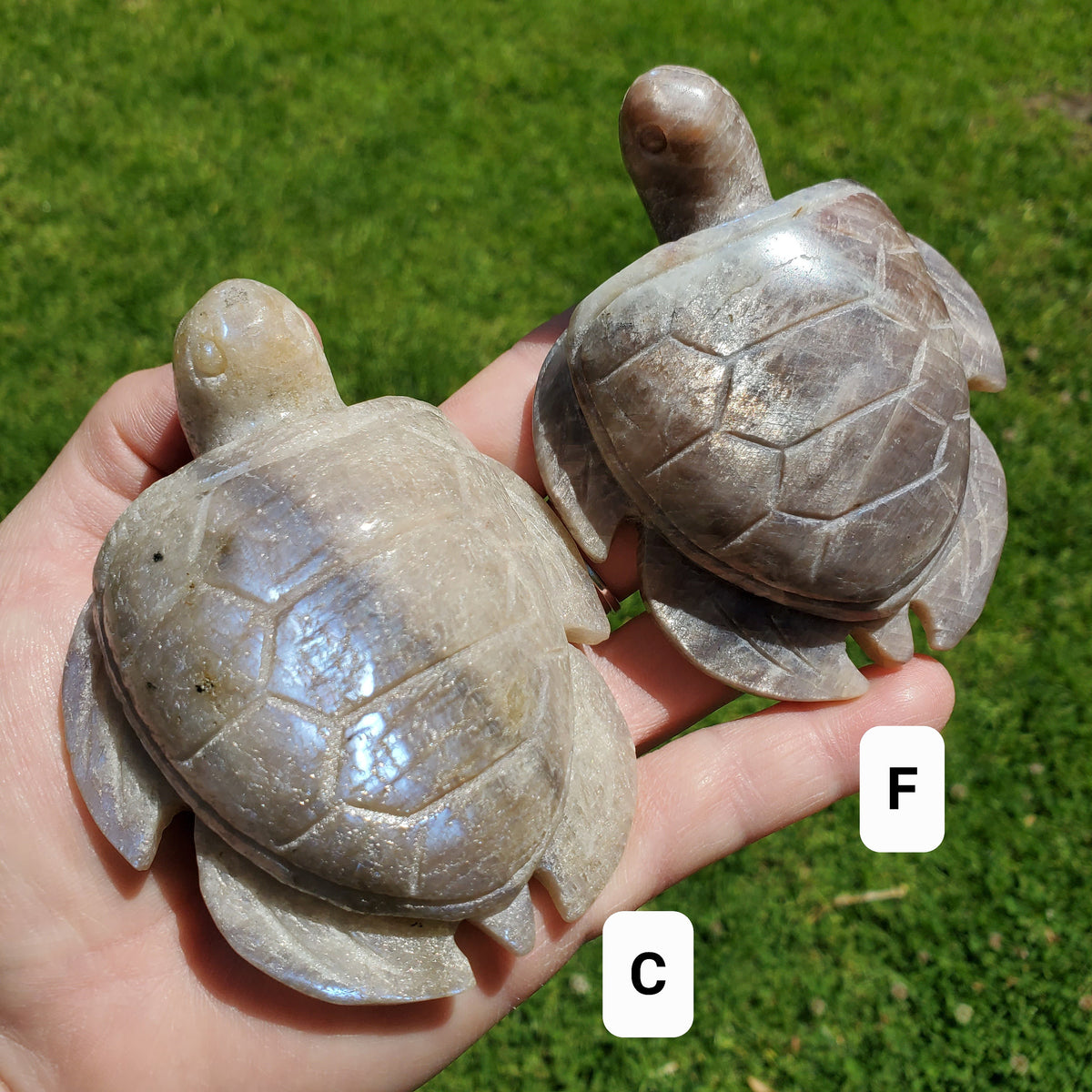 Flashy Moonstone Turtle with Sunstone - Uplifting, Raises Vibration, Feminine Energy, Empowering - Flashy Crystal Turtle Healing Gemstone
