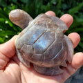 Flashy Moonstone Turtle with Sunstone - Uplifting, Raises Vibration, Feminine Energy, Empowering - Flashy Crystal Turtle Healing Gemstone