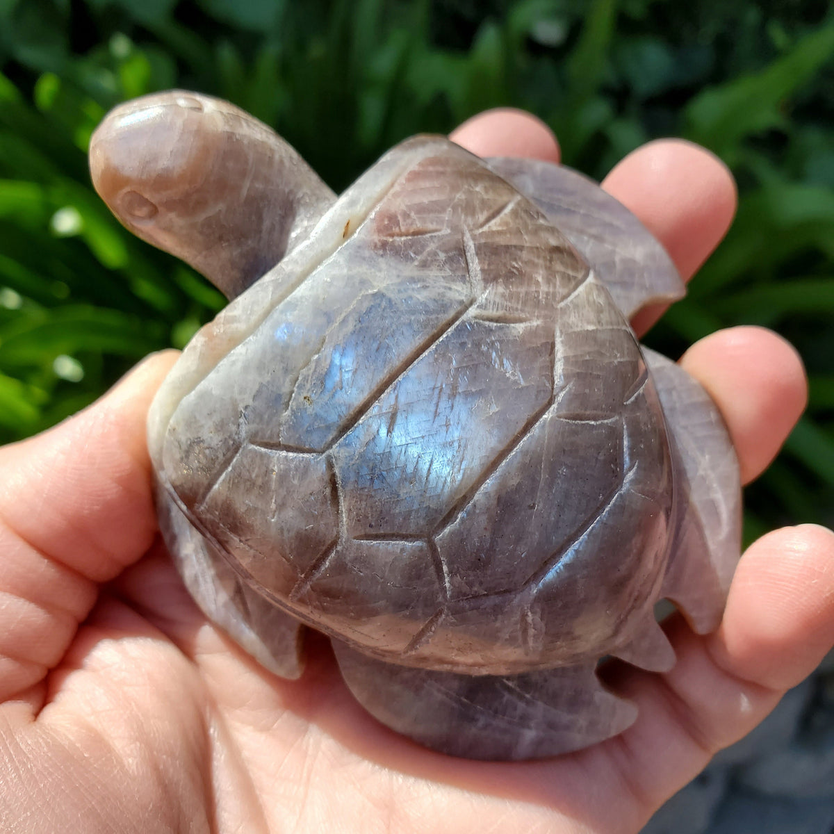 Flashy Moonstone Turtle with Sunstone - Uplifting, Raises Vibration, Feminine Energy, Empowering - Flashy Crystal Turtle Healing Gemstone