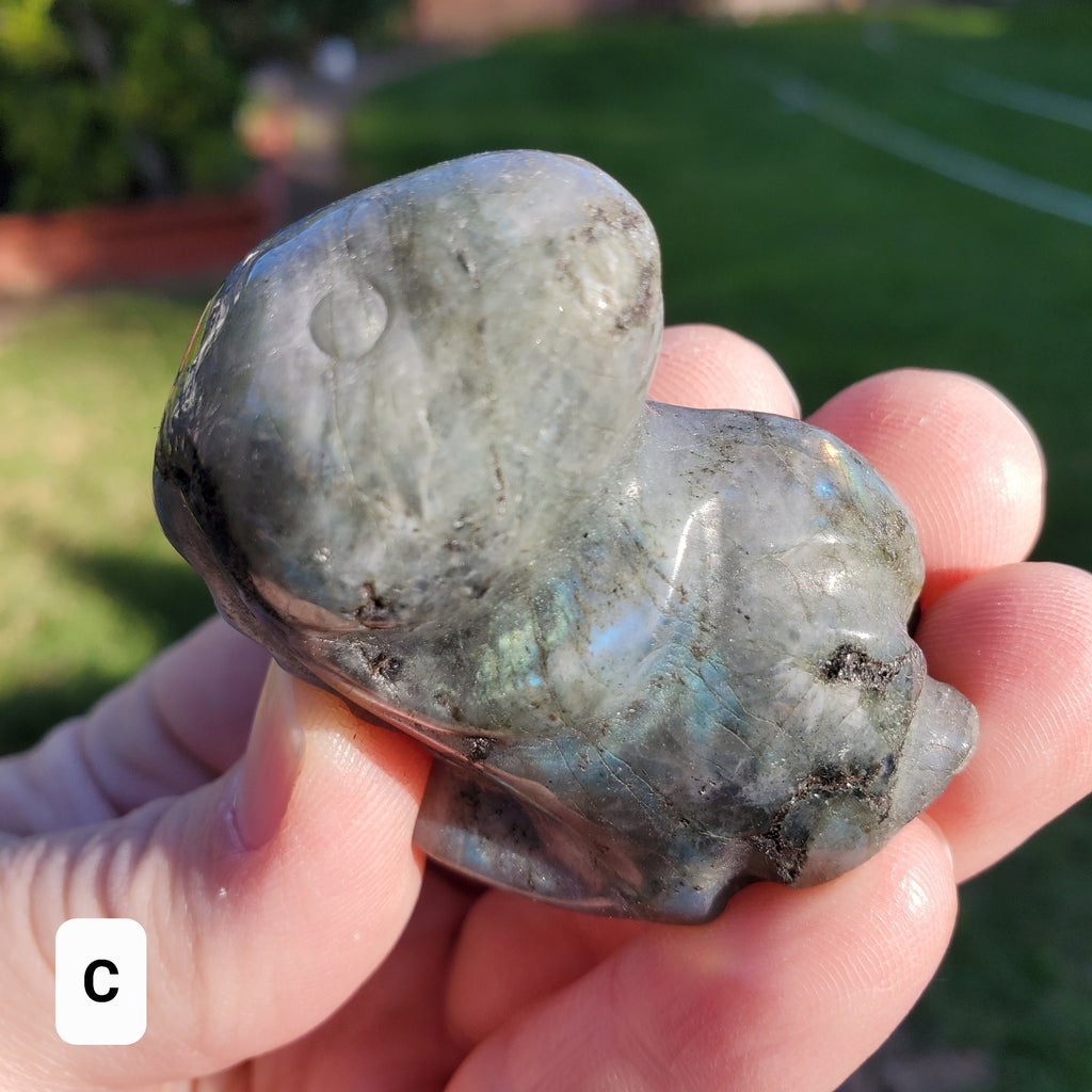 Labradorite Dinosaur - Awareness, Connection, Intuition - Crystal Dinosaur Carving Labradorite Healing Crystal Gemstone