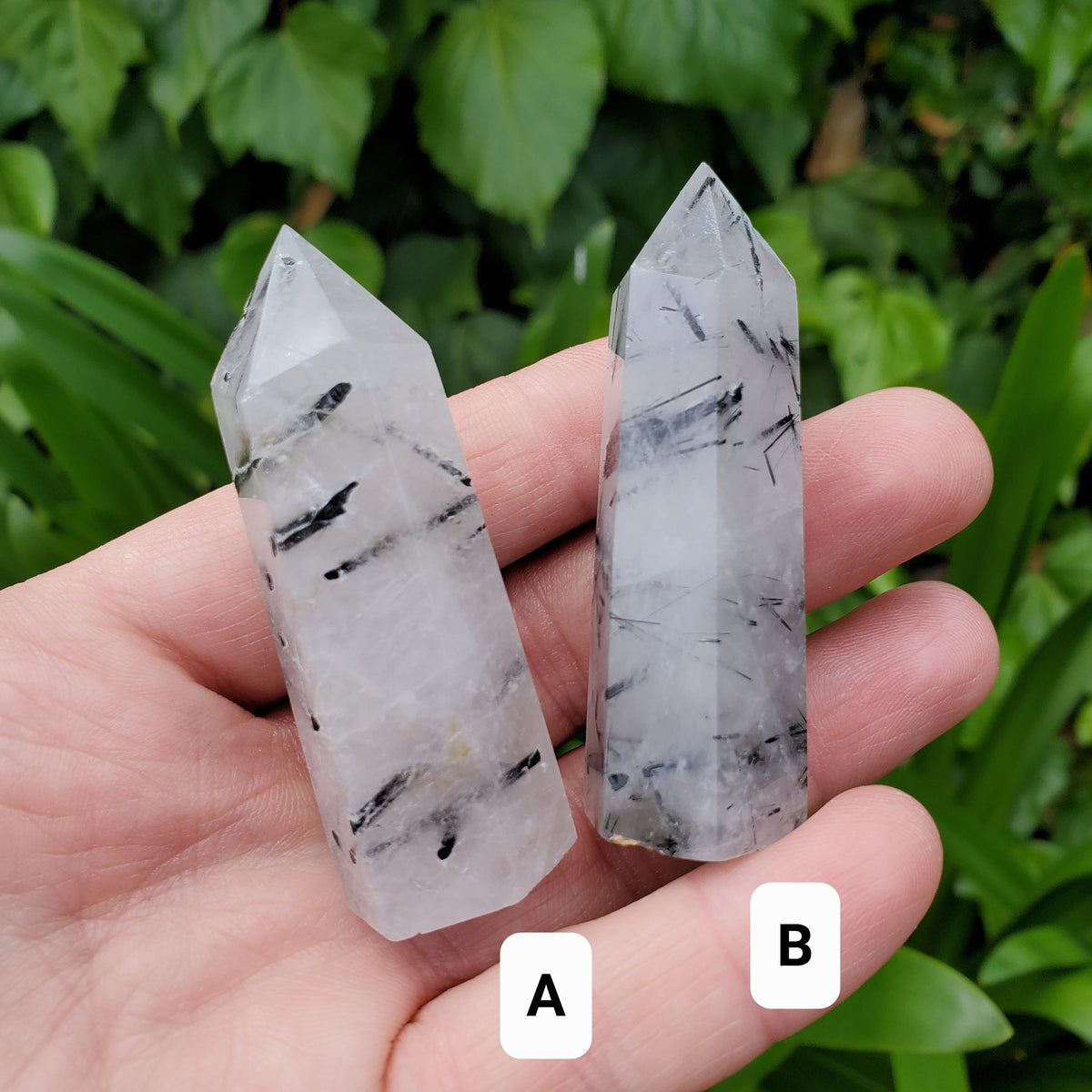 Tourmaline in Quartz Towers - Magnification, Clarity, EMF Protection - Tourmalinated Quartz Crystal Point Healing Gemstones