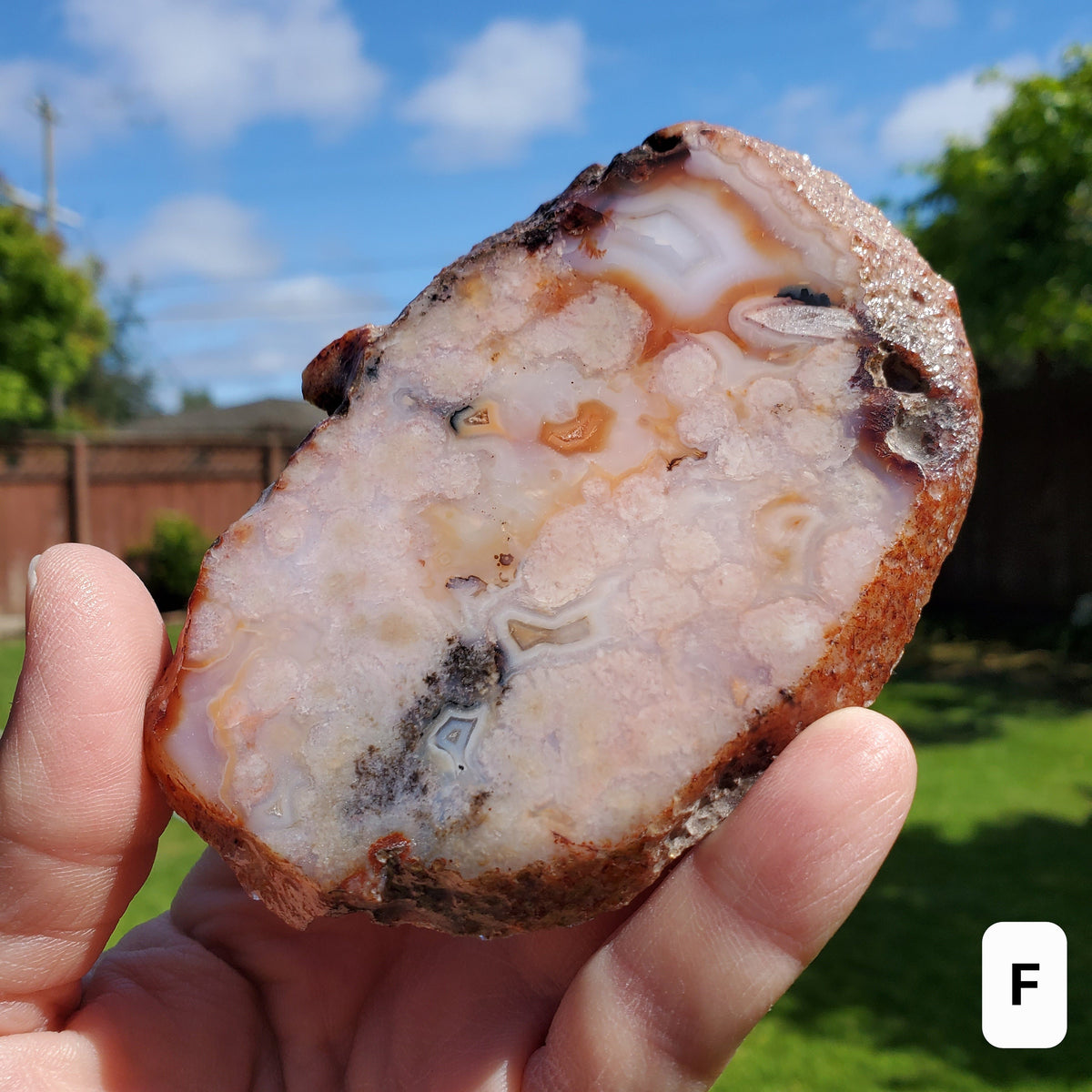 Carnelian Flower Agate Freeform - Confidence, Self Improvement, Spiritual Healing, Manifestation - Pink Agate Carnelian Crystal Plate