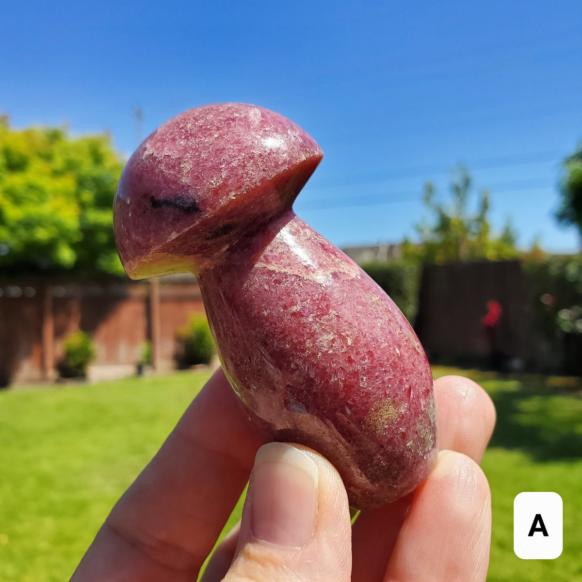Chunky Rhodonite Mushroom - Self Love, Balance, Joy, Happiness - Pink and Black Crystal Mushie Healing Crystal Gemstones