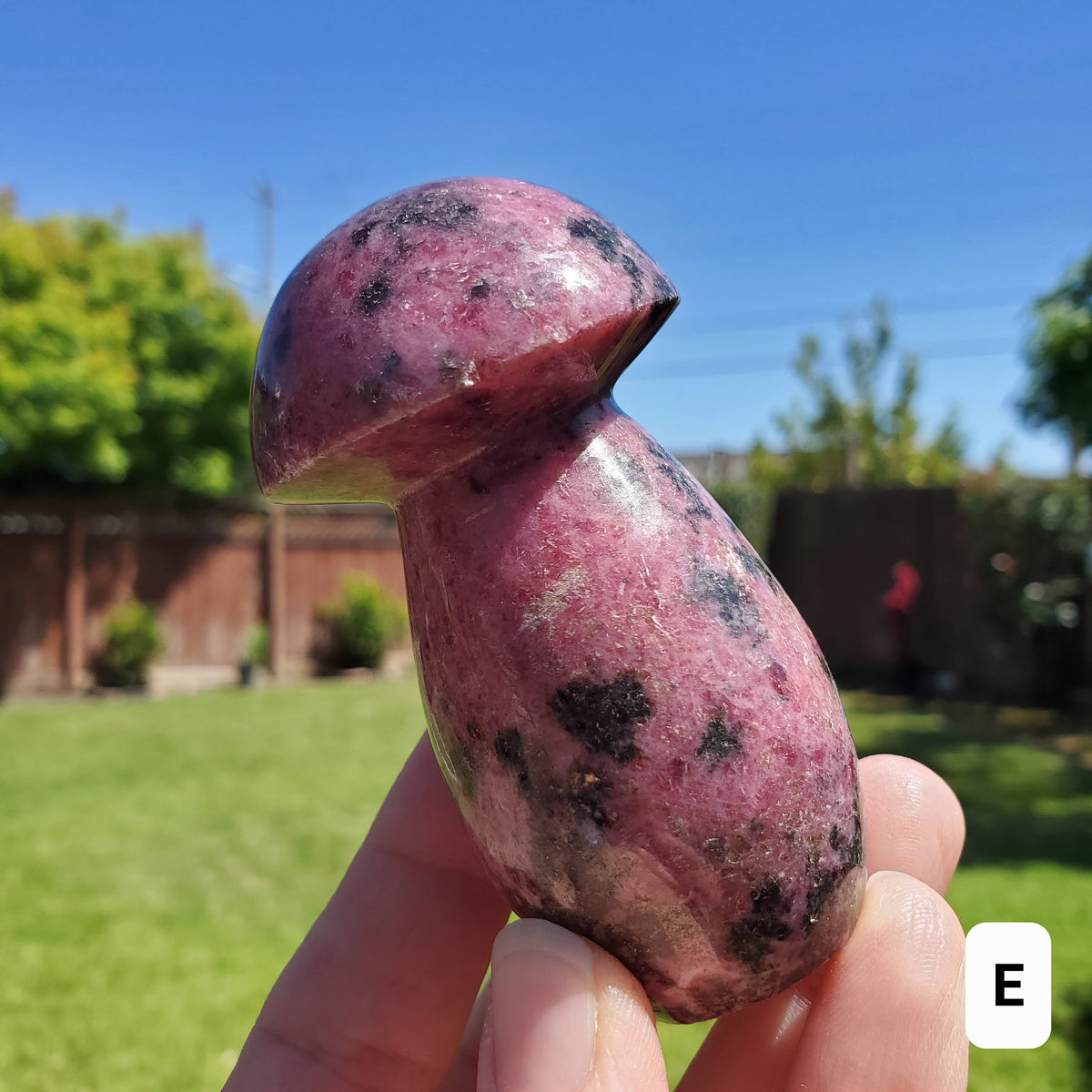 Chunky Rhodonite Mushroom - Self Love, Balance, Joy, Happiness - Pink and Black Crystal Mushie Healing Crystal Gemstones