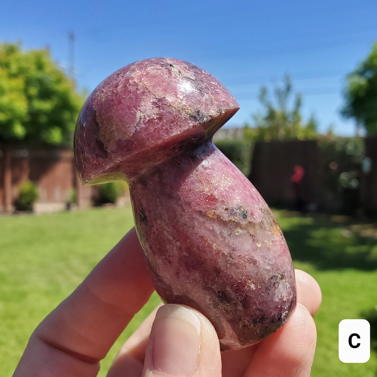 Chunky Rhodonite Mushroom - Self Love, Balance, Joy, Happiness - Pink and Black Crystal Mushie Healing Crystal Gemstones