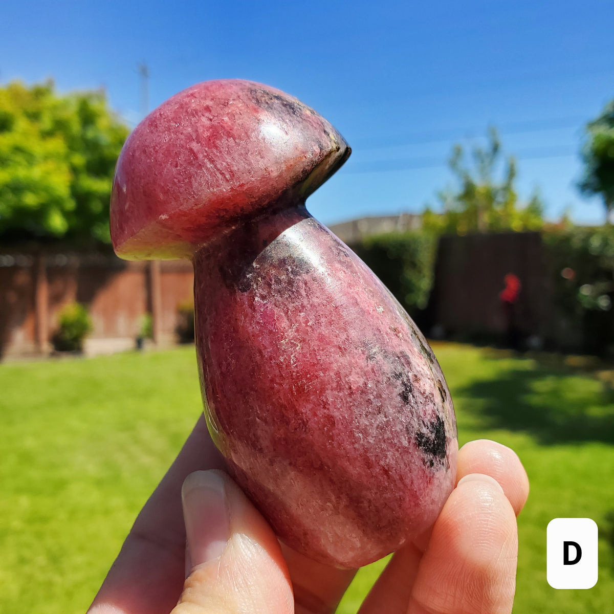 Chunky Rhodonite Mushroom - Self Love, Balance, Joy, Happiness - Pink and Black Crystal Mushie Healing Crystal Gemstones