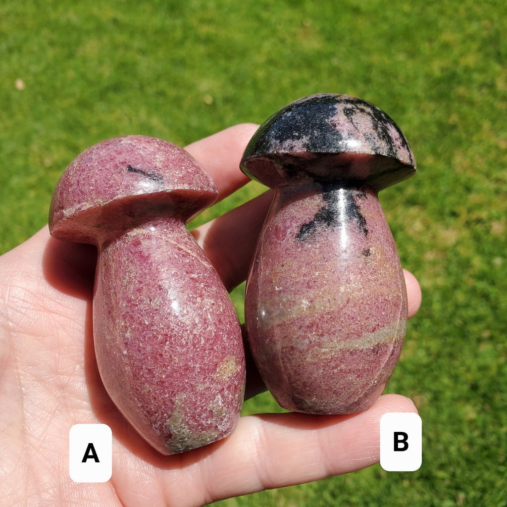 Chunky Rhodonite Mushroom - Self Love, Balance, Joy, Happiness - Pink and Black Crystal Mushie Healing Crystal Gemstones
