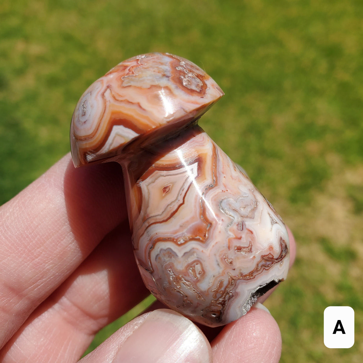 Cute Druzy Pink Lace Agate Mushroom - Balance of the Physical, Mental & Emotional, Energy Shield - Agate Crystal Mushie Carving Healing Gem