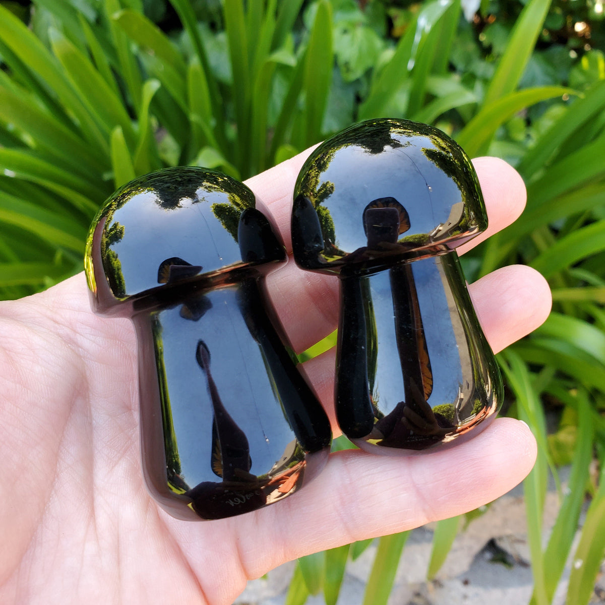 Obsidian Mushroom - Self Reflection, Release Negative Energies - 2.45" Obsidian Black Mushie Healing Crystals Gemstones