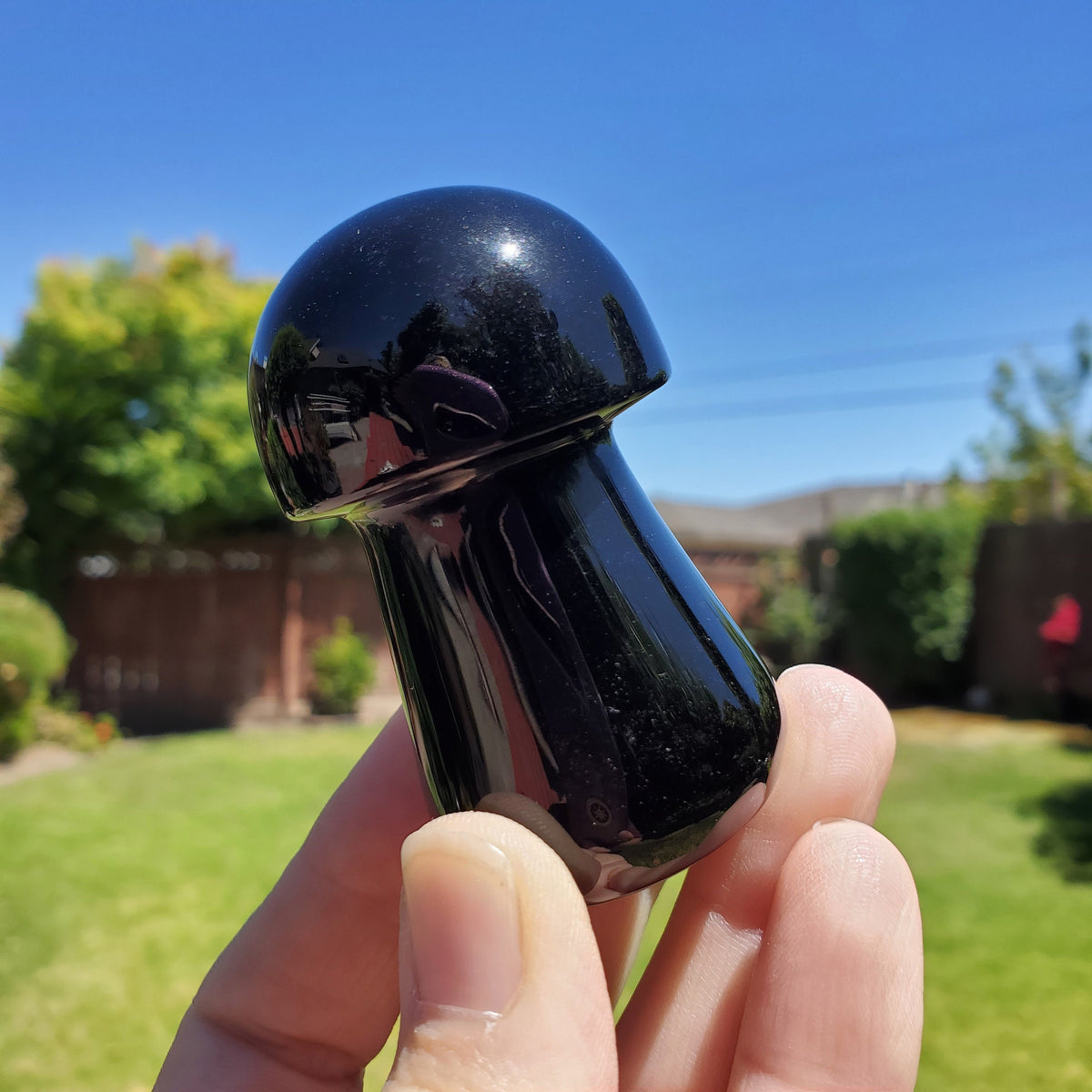 Obsidian Mushroom - Self Reflection, Release Negative Energies - 2.45" Obsidian Black Mushie Healing Crystals Gemstones