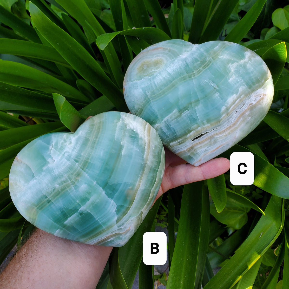 Big Pistachio Calcite Heart - Physical Healing, Transitions, Understanding - Jumbo Calcite Crystal Heart Healing Statement Gemstone