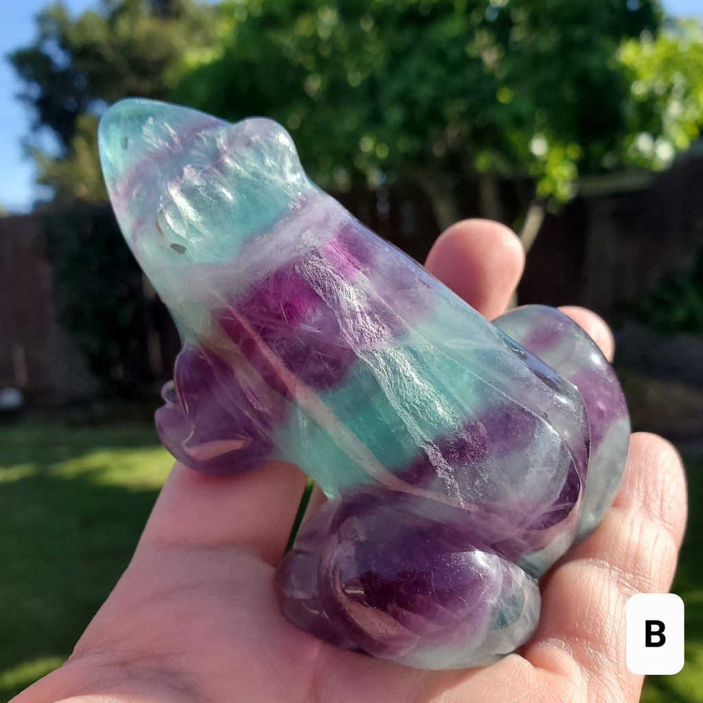 Chunky Rainbow Fluorite Frog - Mental Clarity, Balance, Energetic Protection, Positivity - Fluorite Crystal Frog Healing Gemstone