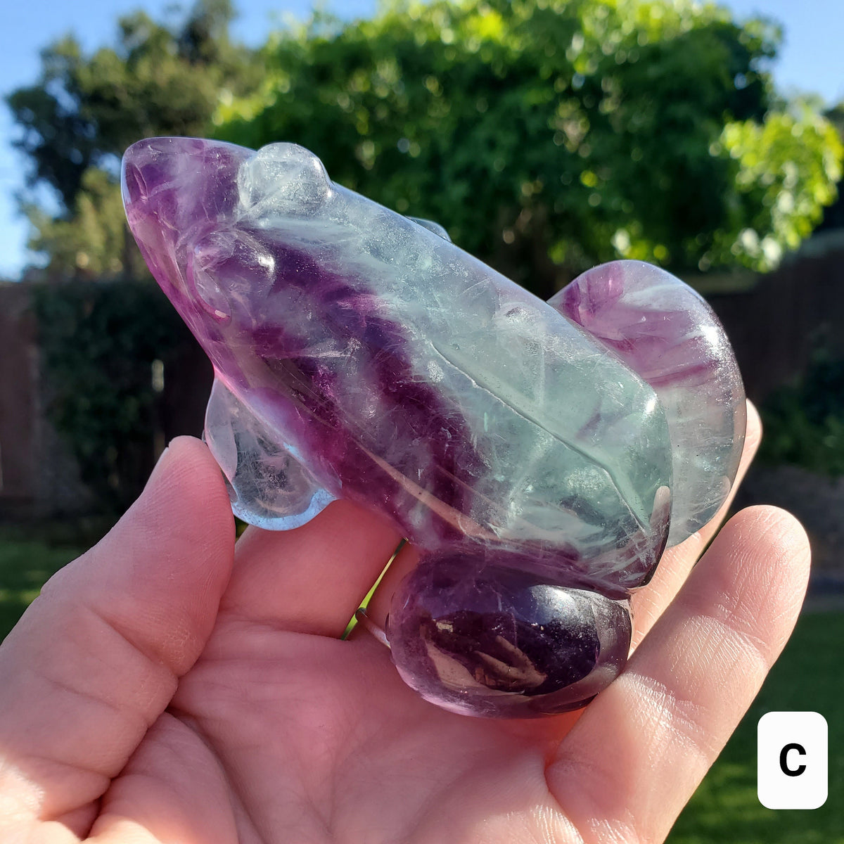 Chunky Rainbow Fluorite Frog - Mental Clarity, Balance, Energetic Protection, Positivity - Fluorite Crystal Frog Healing Gemstone