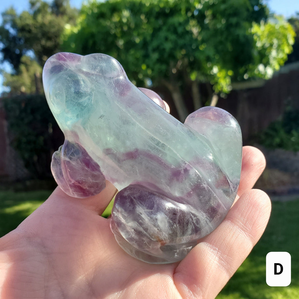 Chunky Rainbow Fluorite Frog - Mental Clarity, Balance, Energetic Protection, Positivity - Fluorite Crystal Frog Healing Gemstone