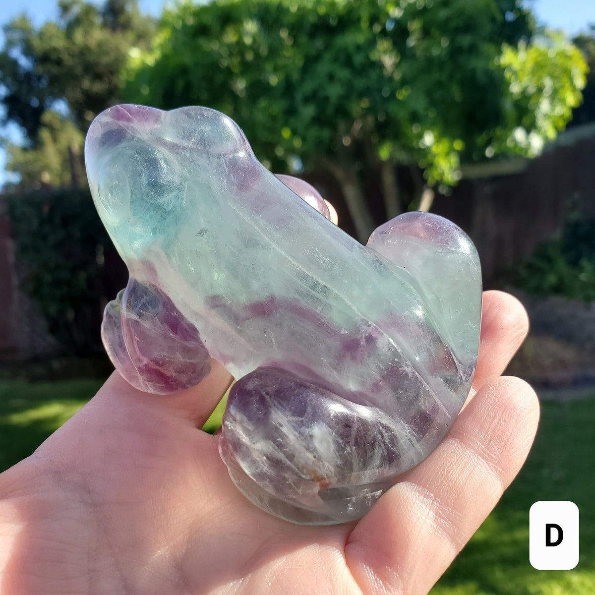 Chunky Rainbow Fluorite Frog - Mental Clarity, Balance, Energetic Protection, Positivity - Fluorite Crystal Frog Healing Gemstone