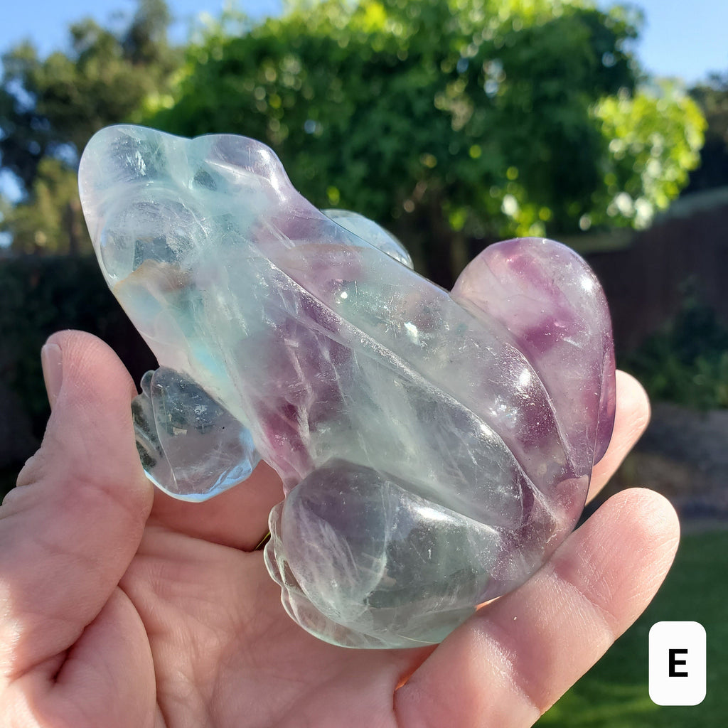 Chunky Rainbow Fluorite Frog - Mental Clarity, Balance, Energetic Protection, Positivity - Fluorite Crystal Frog Healing Gemstone