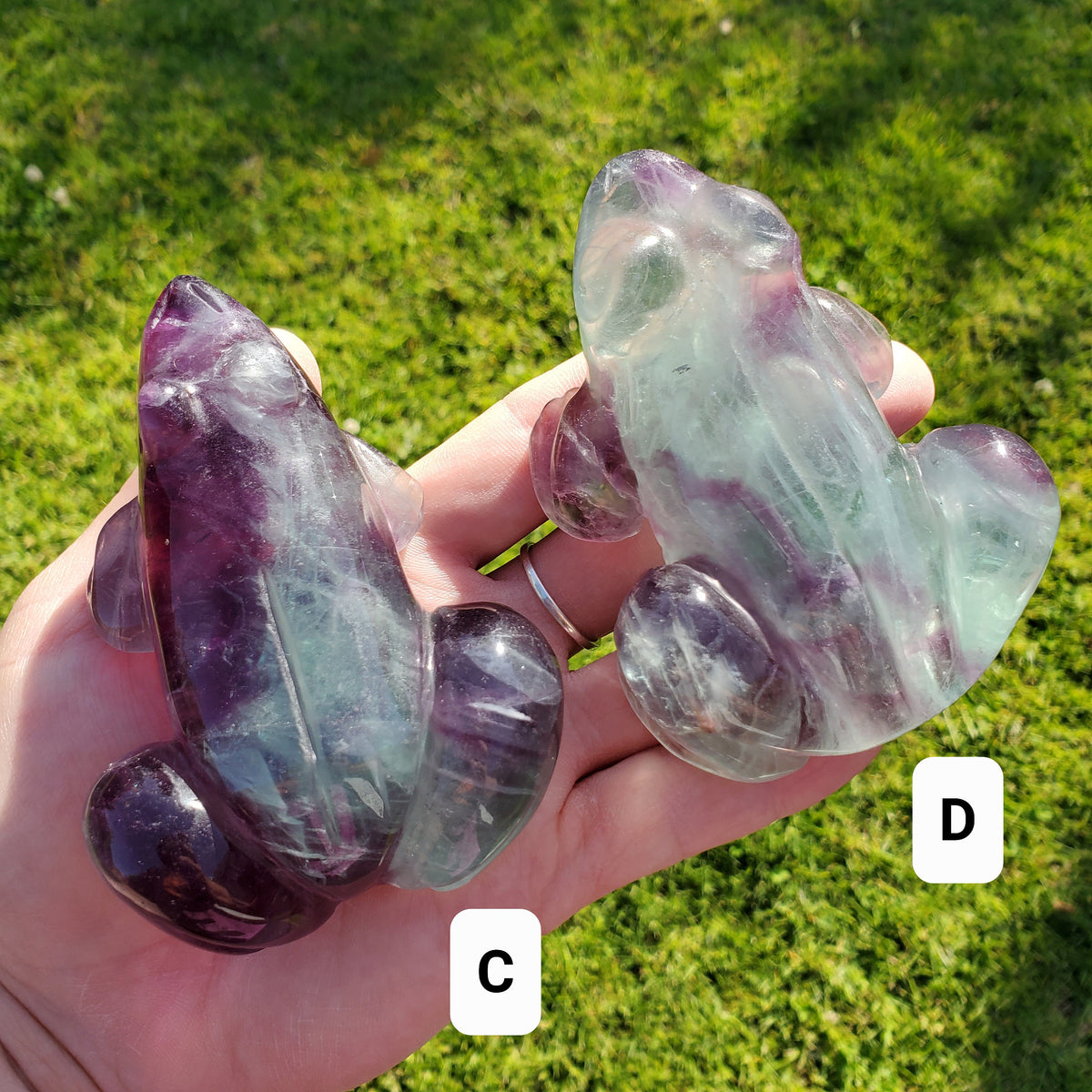 Chunky Rainbow Fluorite Frog - Mental Clarity, Balance, Energetic Protection, Positivity - Fluorite Crystal Frog Healing Gemstone