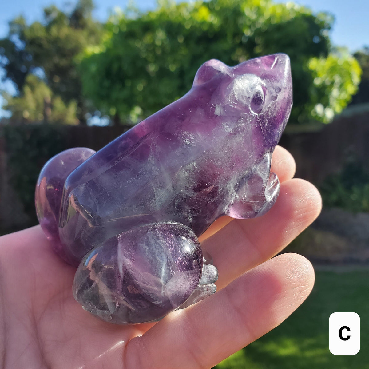Chunky Rainbow Fluorite Frog - Mental Clarity, Balance, Energetic Protection, Positivity - Fluorite Crystal Frog Healing Gemstone