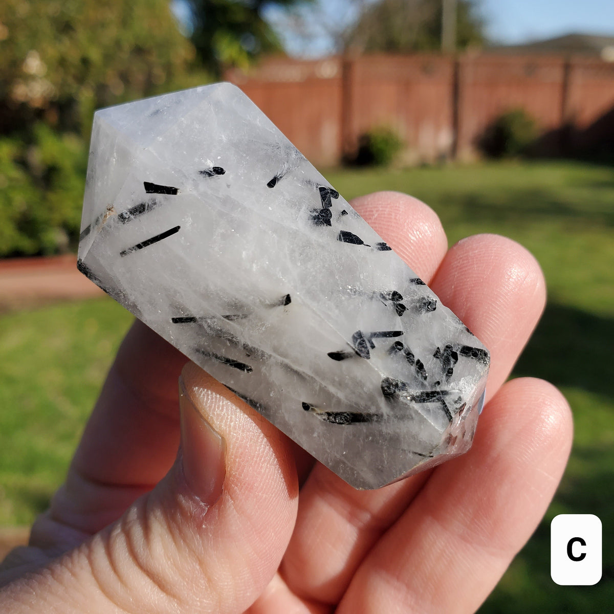 Tourmaline in Quartz Double Point - Magnification, Clarity, EMF Protection - Tourmalinated Crystal Point Healing Crystals Gemstones