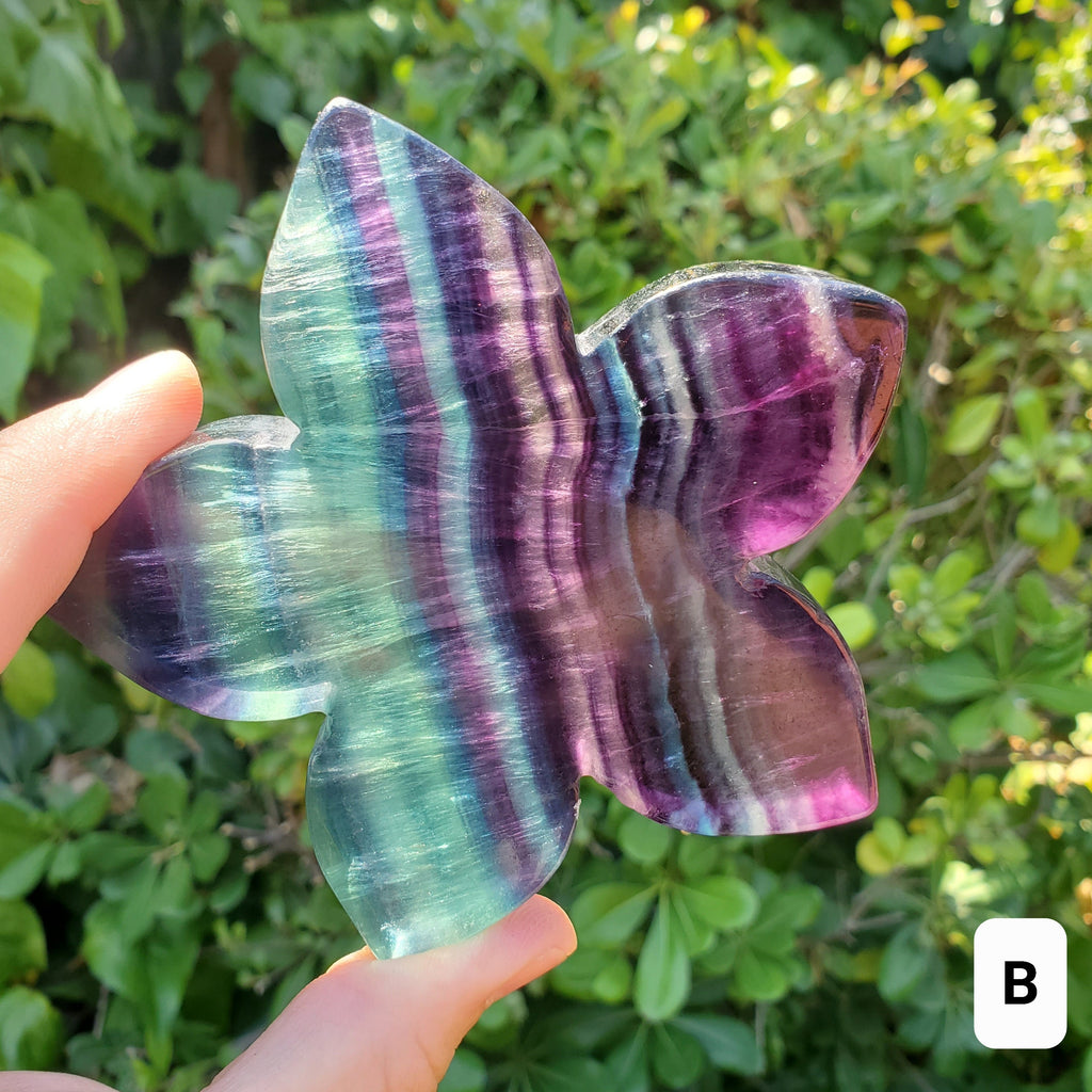 Rainbow Fluorite Flower on Stand - Mental Clarity, Stability, Concentration, Protection - Fluorite Healing Crystals Gemstones