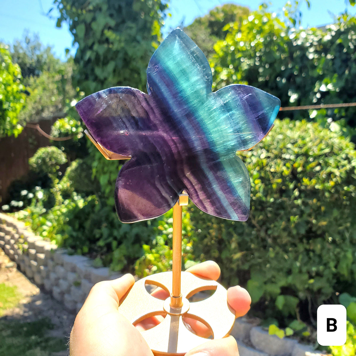 Rainbow Fluorite Flower on Stand - Mental Clarity, Stability, Concentration, Protection - Fluorite Healing Crystals Gemstones