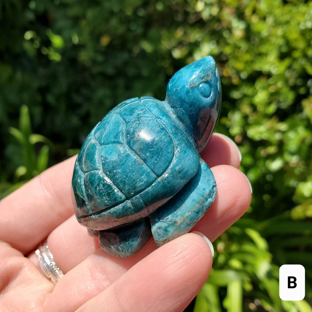Blue Apatite Turtle - Intuition, Mental Clarity, Communication, Manifestation - Blue Crystal Turtle Carving Stone Healing Gemstones