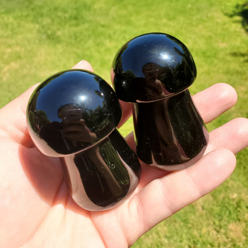 Obsidian Mushroom - Self Reflection, Release Negative Energies - 2.45" Obsidian Black Mushie Healing Crystals Gemstones