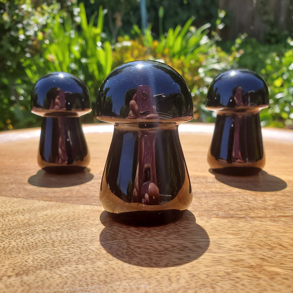 Obsidian Mushroom - Self Reflection, Release Negative Energies - 2.45" Obsidian Black Mushie Healing Crystals Gemstones