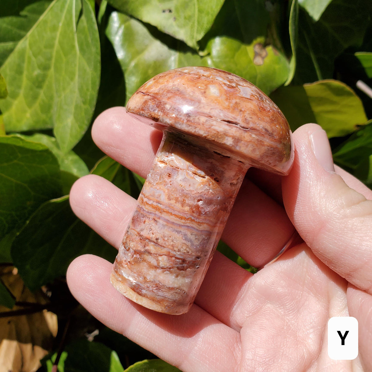 Crazy Lace Agate Mushroom - Balance of the Physical, Mental & Emotional, Energy Shield - Agate Crystal Mushie Carving Healing Gemstone