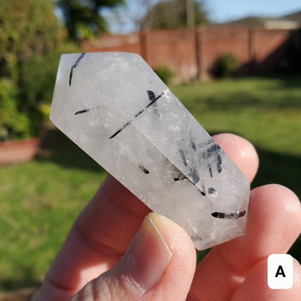 Tourmaline in Quartz Double Point - Magnification, Clarity, EMF Protection - Tourmalinated Crystal Point Healing Crystals Gemstones