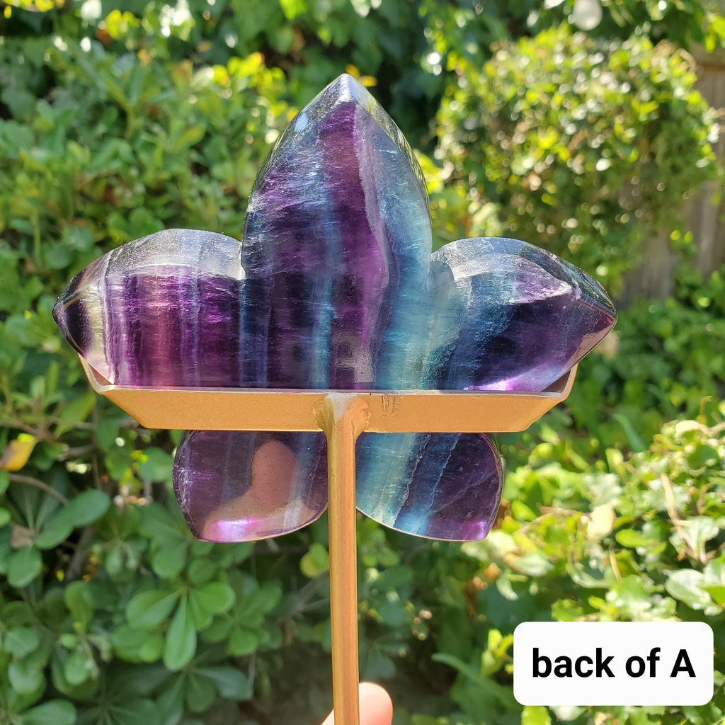 Rainbow Fluorite Flower on Stand - Mental Clarity, Stability, Concentration, Protection - Fluorite Healing Crystals Gemstones
