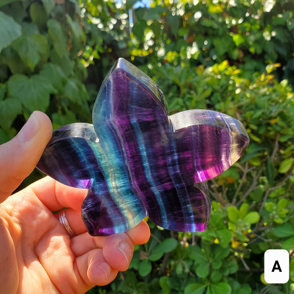 Rainbow Fluorite Flower on Stand - Mental Clarity, Stability, Concentration, Protection - Fluorite Healing Crystals Gemstones