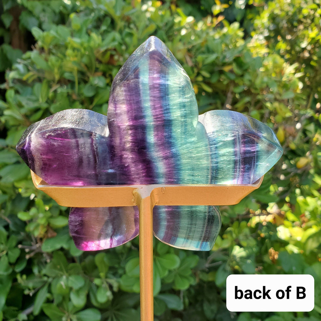 Rainbow Fluorite Flower on Stand - Mental Clarity, Stability, Concentration, Protection - Fluorite Healing Crystals Gemstones
