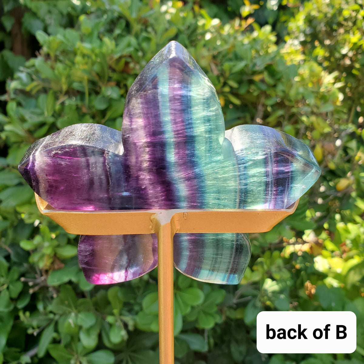Rainbow Fluorite Flower on Stand - Mental Clarity, Stability, Concentration, Protection - Fluorite Healing Crystals Gemstones