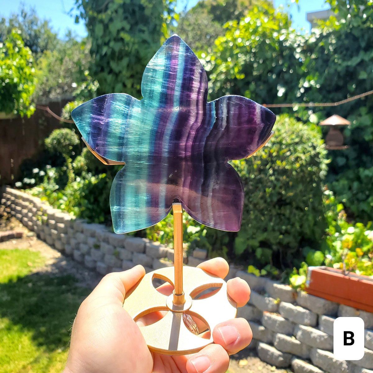 Rainbow Fluorite Flower on Stand - Mental Clarity, Stability, Concentration, Protection - Fluorite Healing Crystals Gemstones