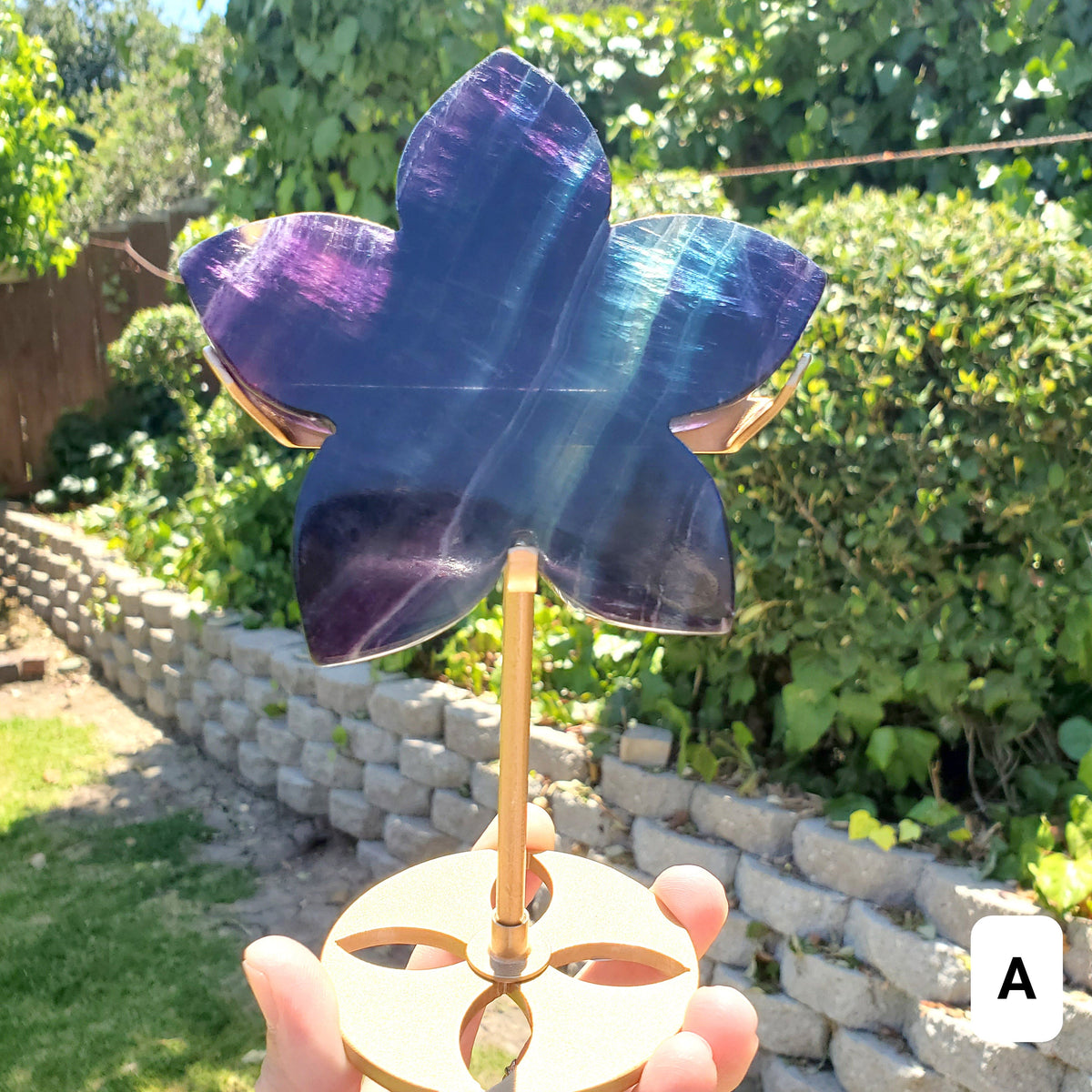 Rainbow Fluorite Flower on Stand - Mental Clarity, Stability, Concentration, Protection - Fluorite Healing Crystals Gemstones