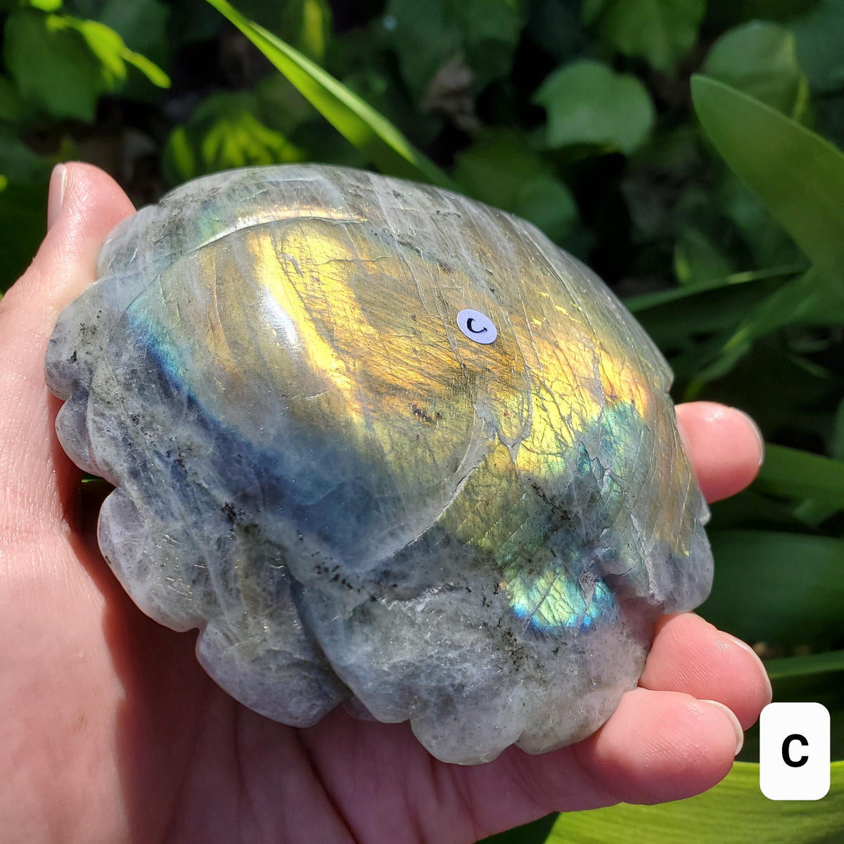 Big Flashy Labradorite Flower - Awareness, Connection, Intuition - Crystal Rose Lab Rose Carving Healing Crystal Gemstone Statement Display