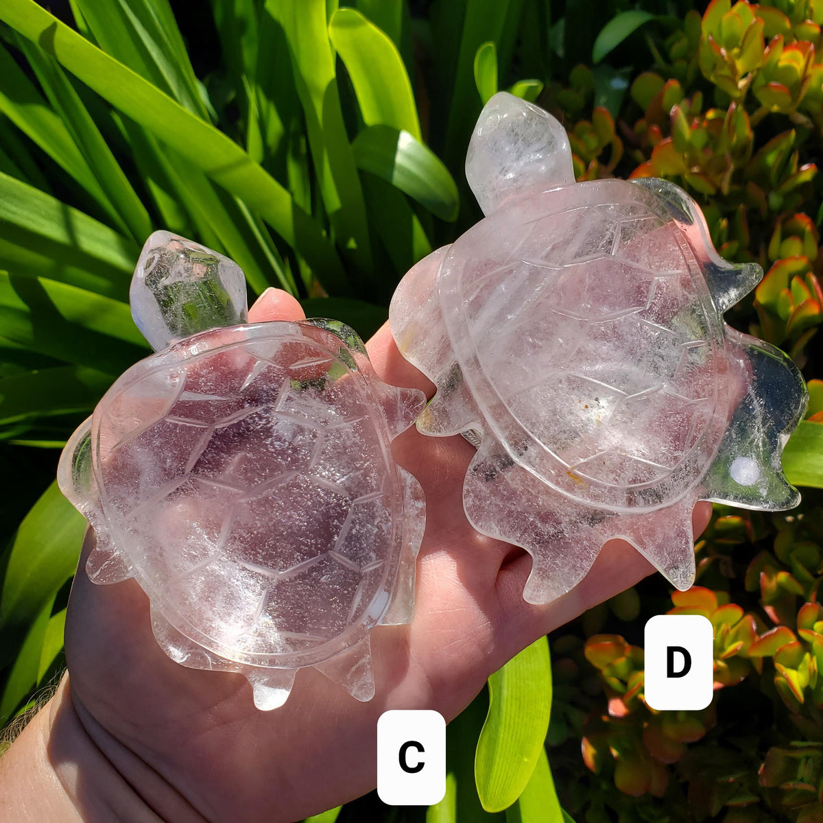 Quartz Turtle - Counteracts Negativity, Energizes Positivity - Crystal Turtle Carving Healing Gemstone Tortoise Figurine Paperweight