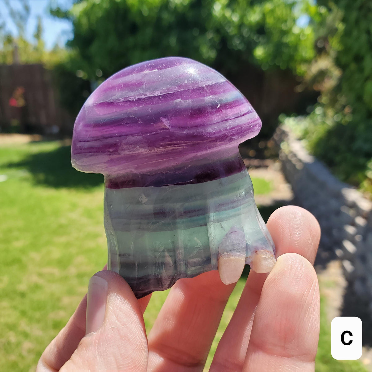 Cute Rainbow Fluorite Jellyfish - Stability, Concentration, Protection - Fluorite Crystal Jellyfish Standing Healing Gemstone