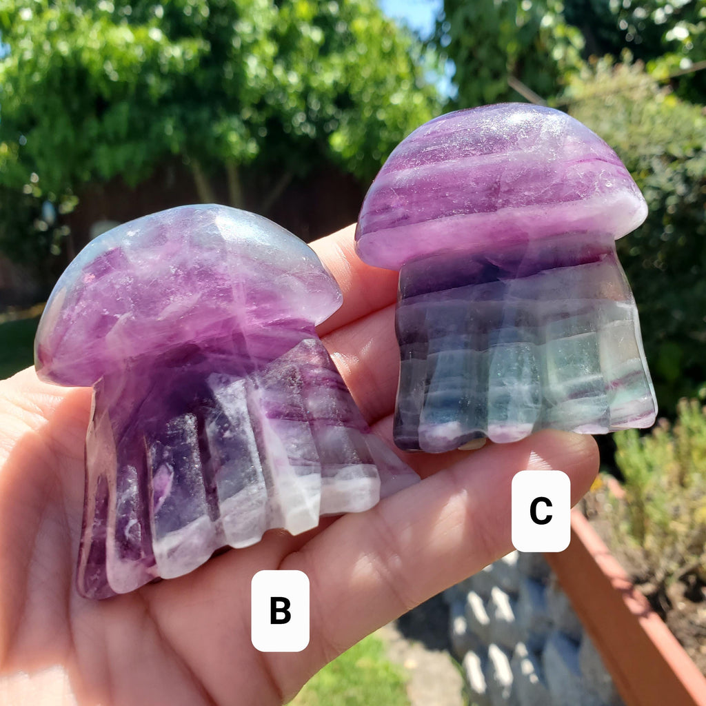 Cute Rainbow Fluorite Jellyfish - Stability, Concentration, Protection - Fluorite Crystal Jellyfish Standing Healing Gemstone