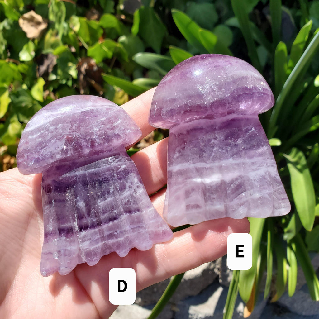 Banded Purple Fluorite Jellyfish - Stability, Concentration, Energetic Protection - Crystal Jellyfish Carving Healing Crystal Gemstone