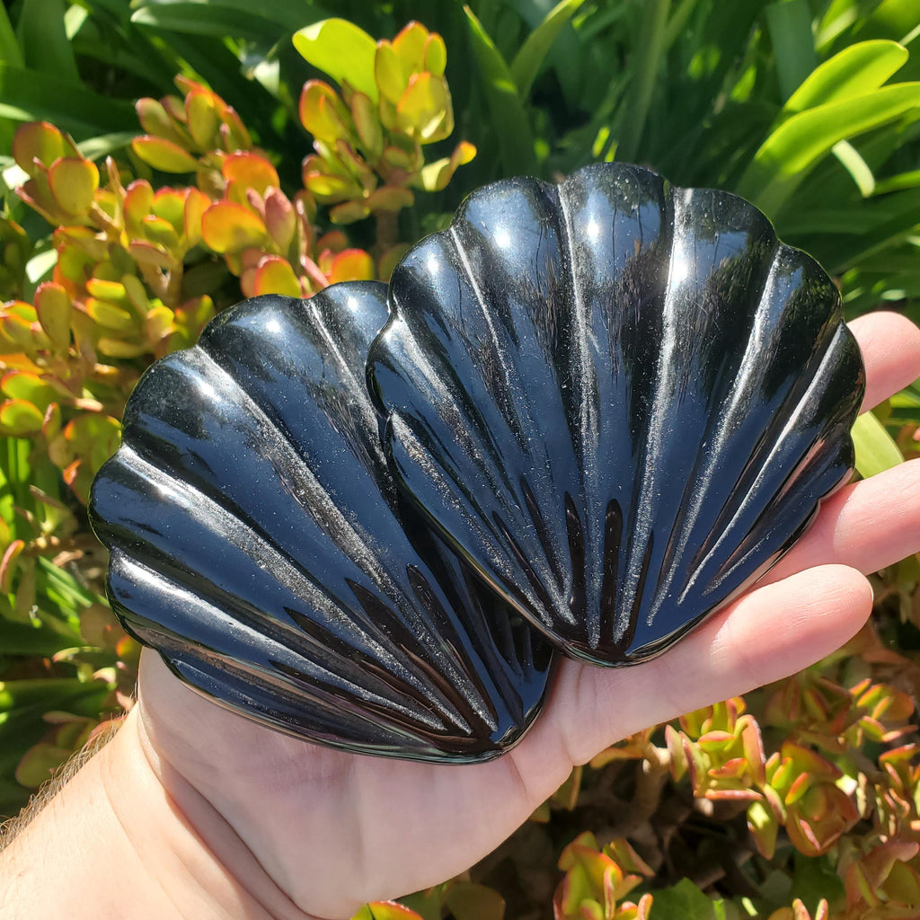 Obsidian Shell Mirror - Self Reflection, Release Negative Energies - Black Mirror Carving Crystal Decor for Makeup Vanity or Bathroom